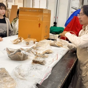 十三行博物館攜手台灣藝術大學修護文物重生　喚醒四千年水碓尾遺址陶器