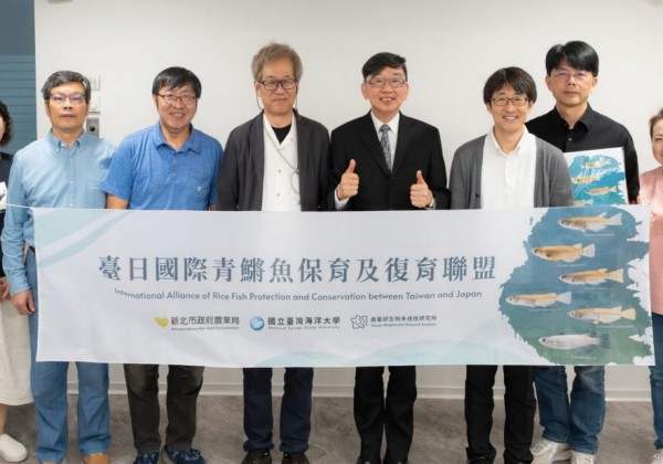 守護新北溪流珍稀原生種　台日專家攜手推動噶瑪蘭青鱂保育