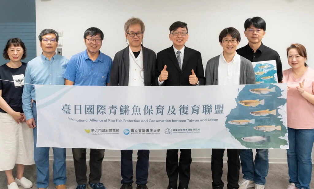 守護新北溪流珍稀原生種　台日專家攜手推動噶瑪蘭青鱂保育