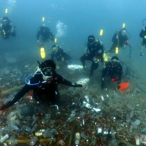 新北蟬聯全國「海洋環境管理考核」最高榮譽　連2年榮獲特優