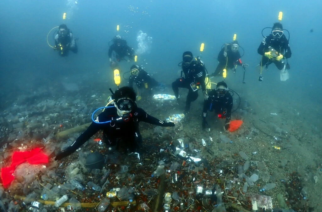 新北蟬聯全國「海洋環境管理考核」最高榮譽　連2年榮獲特優