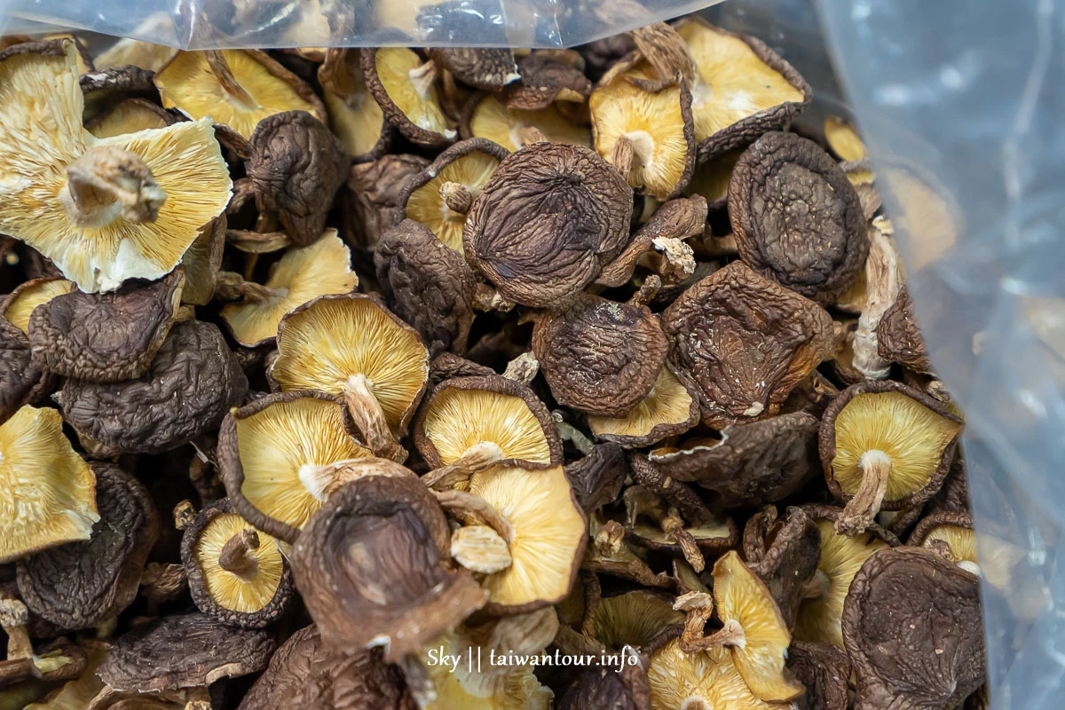 【阿亮香菇園】台中新社採香菇.推薦親子景點.交通