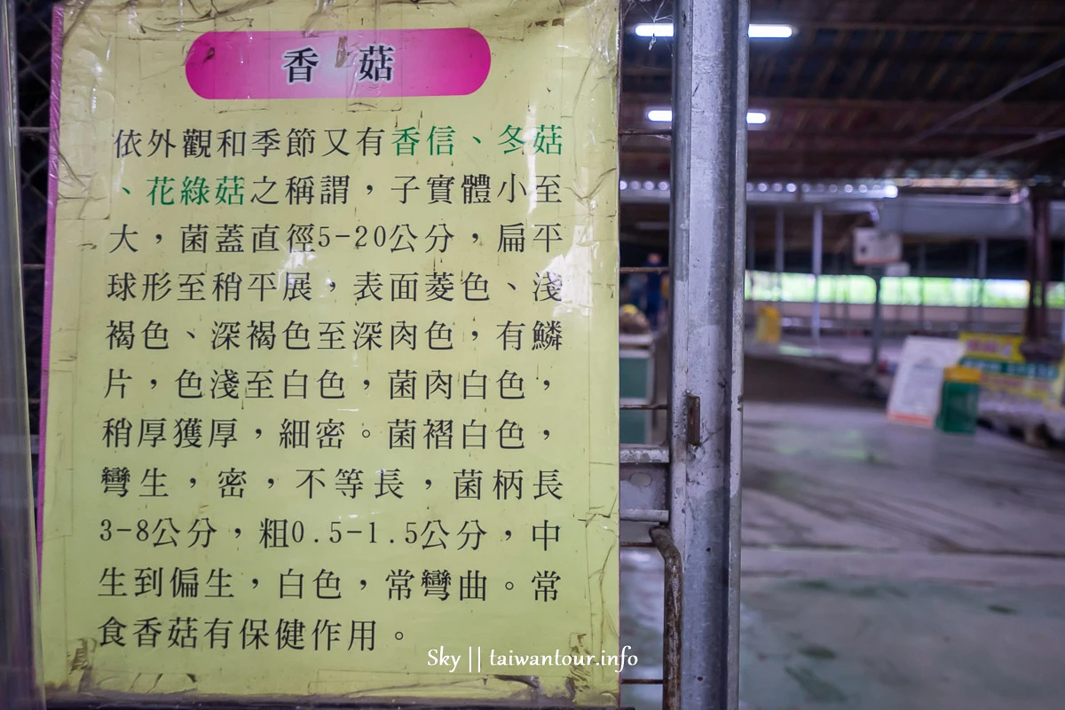 【阿亮香菇園】台中新社採香菇.推薦親子景點.交通