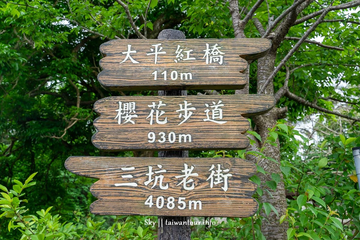 【大平紅橋步道】桃園親子玩水景點.油桐花.交通怎麼去.停車場 【大平紅橋步道】桃園親子玩水景點.油桐花.交通怎麼去.停車場