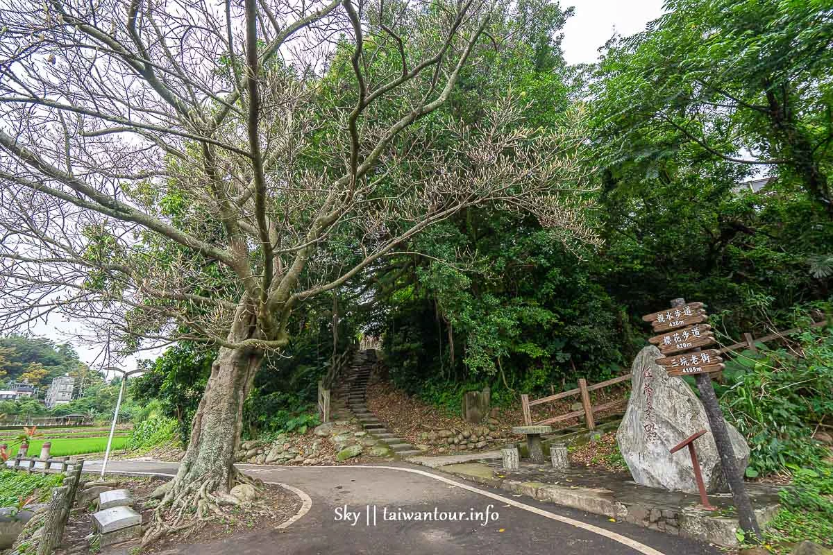 【大平紅橋步道】桃園親子玩水景點.油桐花.交通怎麼去.停車場 【大平紅橋步道】桃園親子玩水景點.油桐花.交通怎麼去.停車場