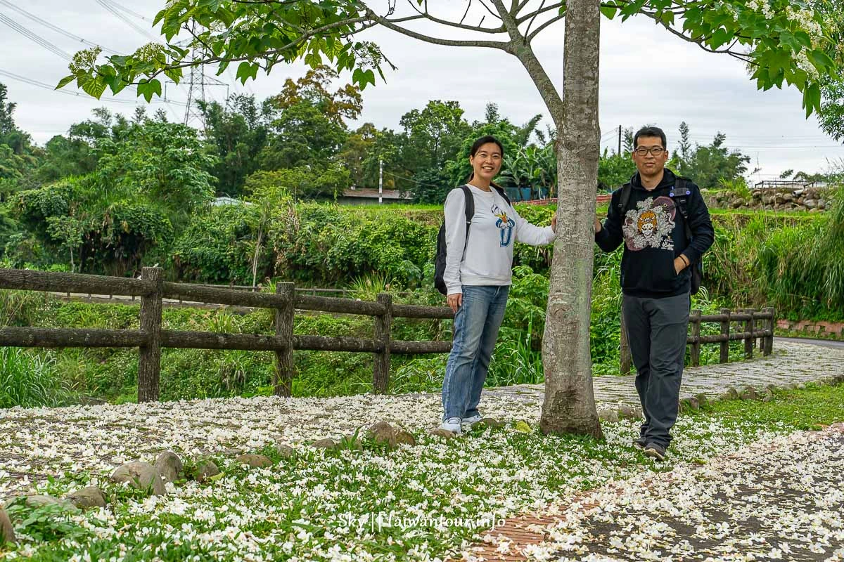 【大平紅橋步道】桃園親子玩水景點.油桐花.交通怎麼去.停車場 【大平紅橋步道】桃園親子玩水景點.油桐花.交通怎麼去.停車場