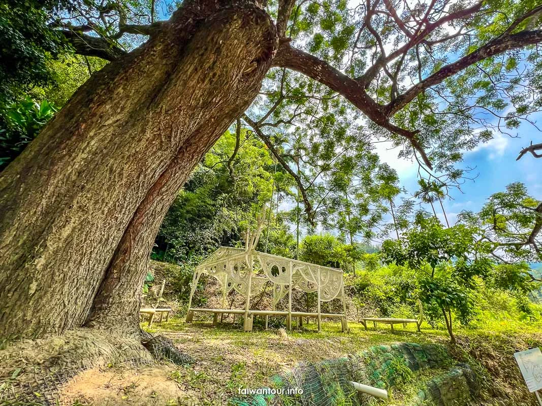【三連潭古圳道.大窩穿龍圳】苗栗大湖浪漫台三線網美秘境.親子步道