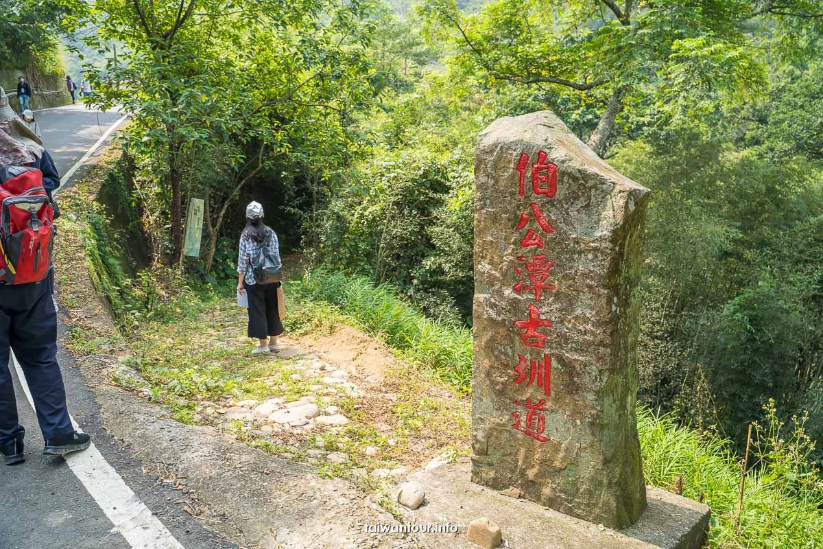【三連潭古圳道.大窩穿龍圳】苗栗大湖浪漫台三線網美秘境.親子步道
