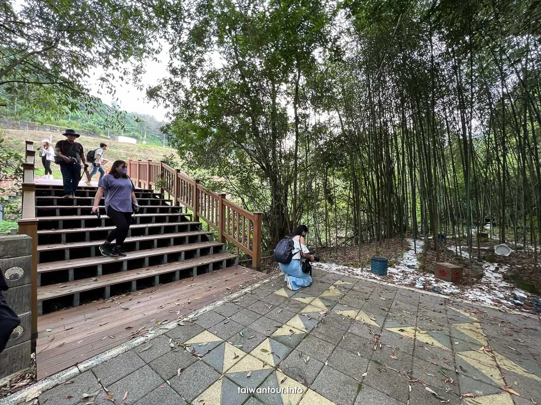 【三連潭古圳道.大窩穿龍圳】苗栗大湖浪漫台三線網美秘境.親子步道