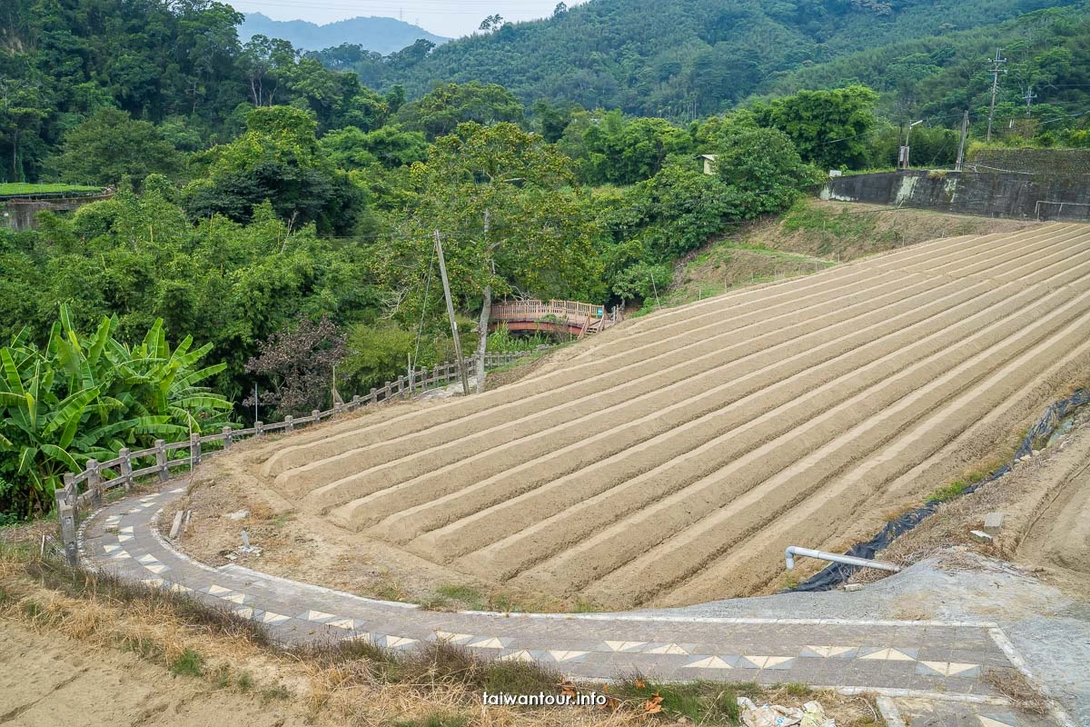 【三連潭古圳道.大窩穿龍圳】苗栗大湖浪漫台三線網美秘境.親子步道