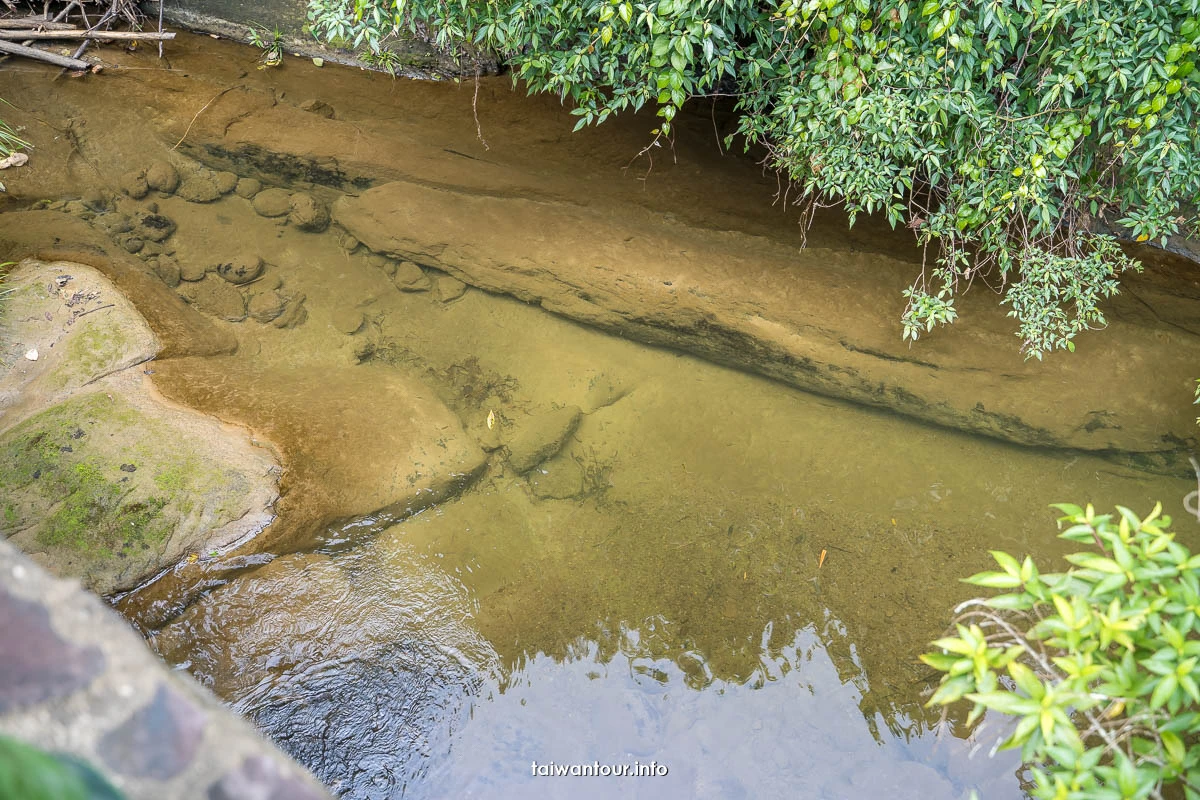 【三連潭古圳道.大窩穿龍圳】苗栗大湖浪漫台三線網美秘境.親子步道