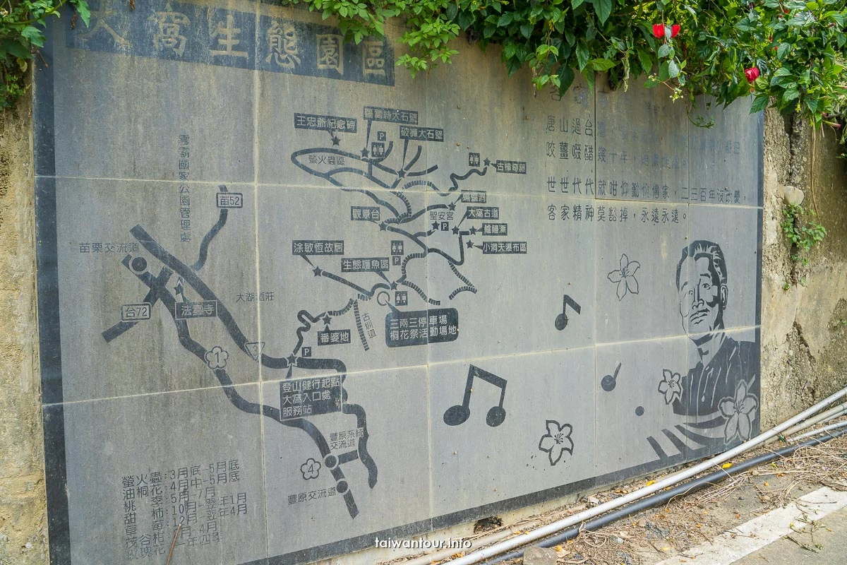 【三連潭古圳道.大窩穿龍圳】苗栗大湖浪漫台三線網美秘境.親子步道