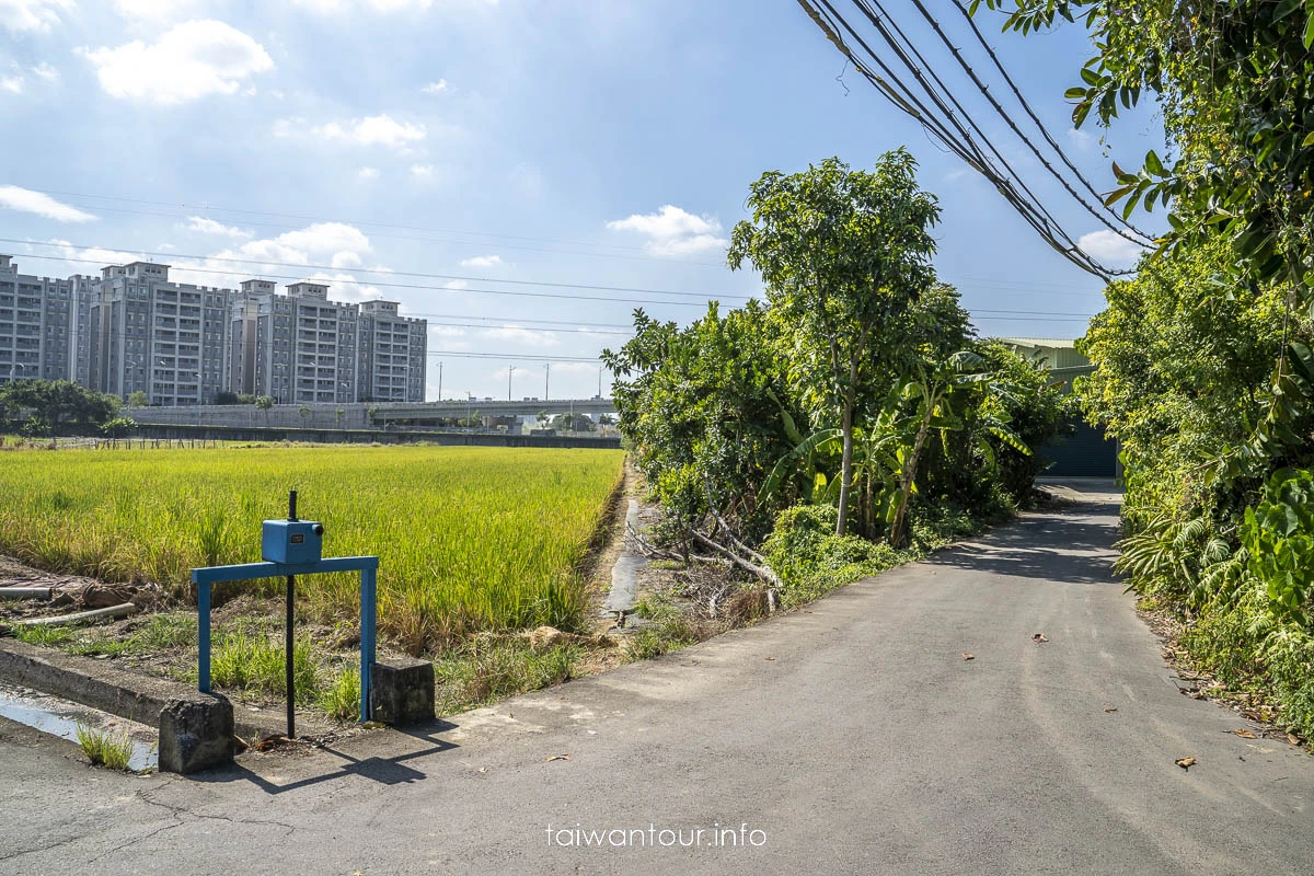 【舊雙溪河步道(五分港溪)】台北自行車道.北投網美秘境 【舊雙溪河步道(五分港溪)】台北自行車道.北投網美秘境