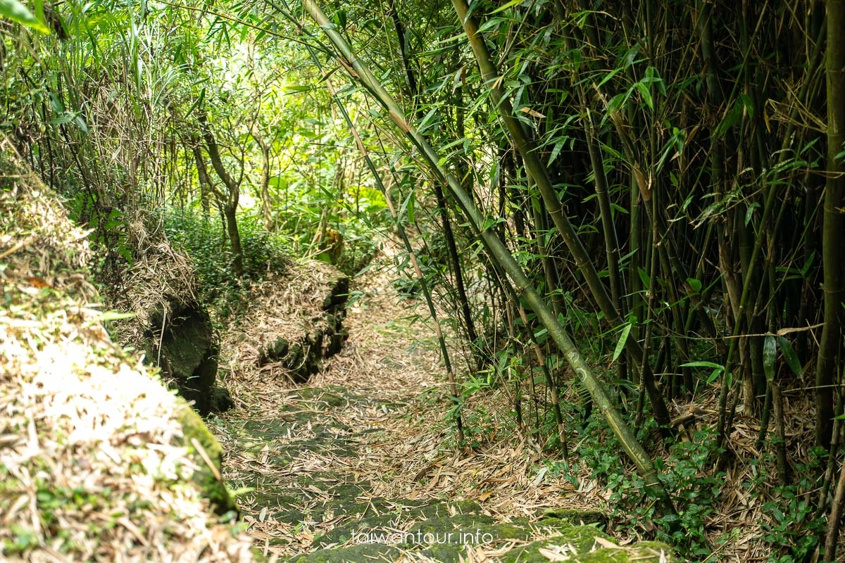 【猴崁水圳步道】陽明山秘境.夏日避暑交通美食全攻略! 【猴崁水圳步道】陽明山秘境.夏日避暑交通美食全攻略!