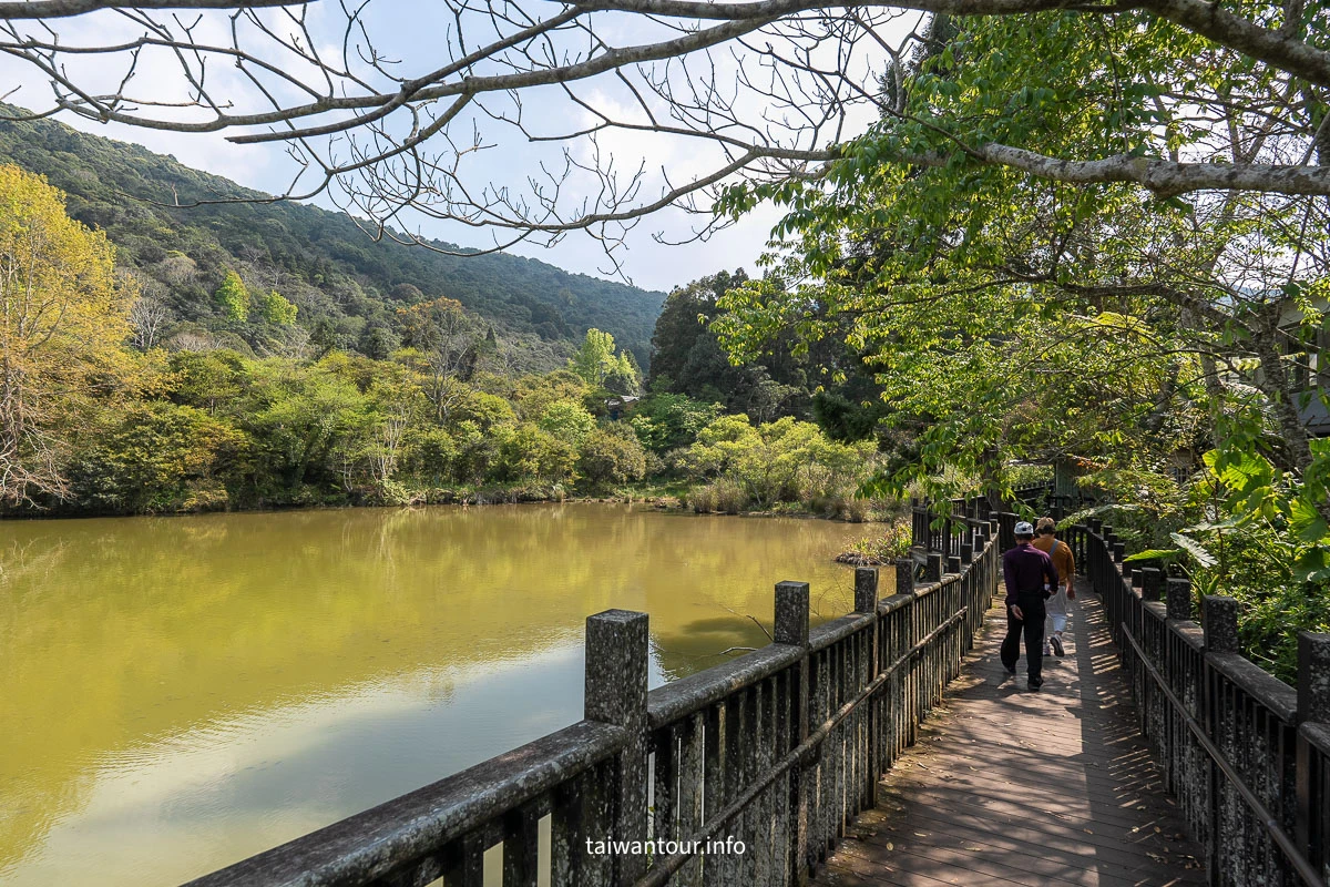 【南庄向天湖友善步道】苗栗賽夏傳說.台灣版歐洲湖景