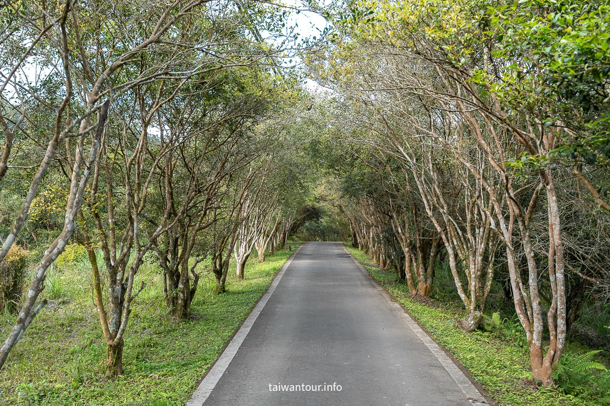 【南庄向天湖友善步道】苗栗賽夏傳說.台灣版歐洲湖景