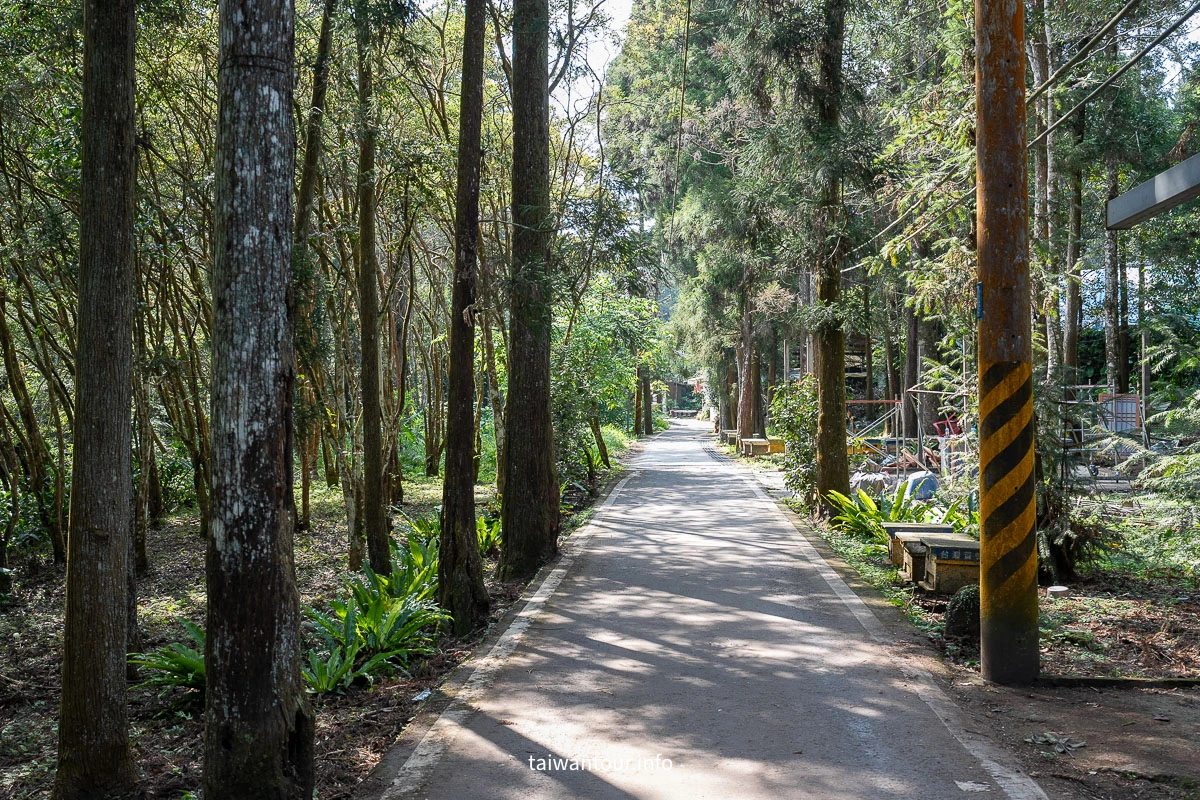 【南庄向天湖友善步道】苗栗賽夏傳說.台灣版歐洲湖景