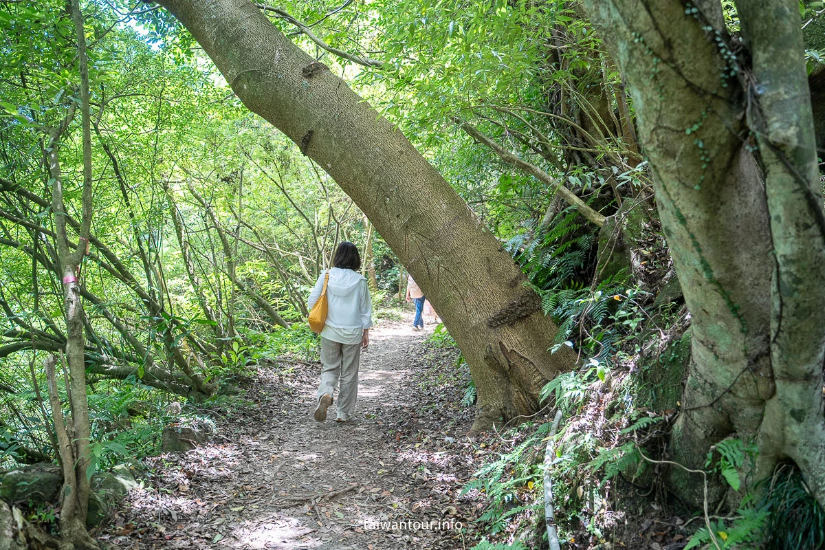 【猴崁水圳步道】陽明山秘境.夏日避暑交通美食全攻略！