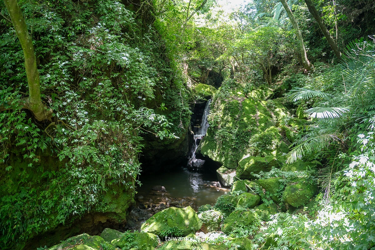 【猴崁水圳步道】陽明山秘境.夏日避暑交通美食全攻略! 【猴崁水圳步道】陽明山秘境.夏日避暑交通美食全攻略!