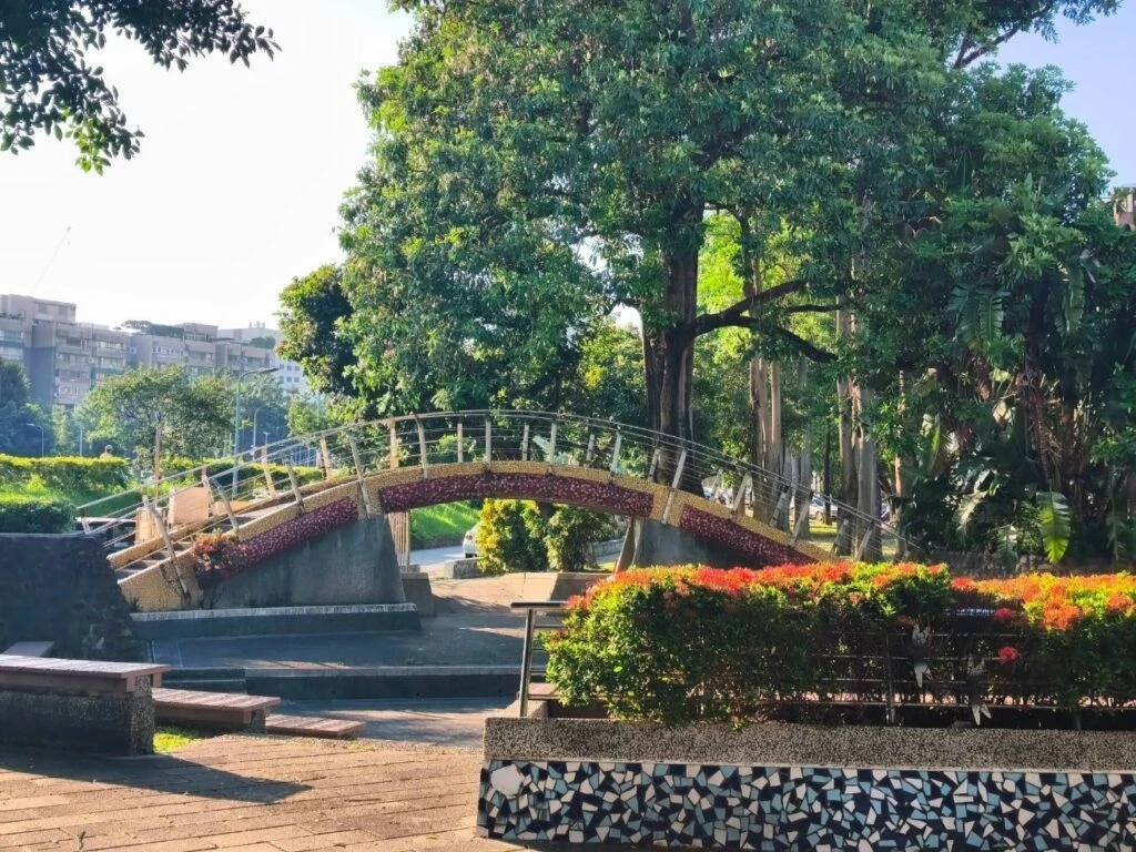 雞蛋花美得低調 　蘭興一號綠地收藏天母夏日風景