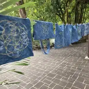 平溪紫東社區發展林下經濟 　頂級「紅淡蜜」勇奪國際風味評鑑二星獎