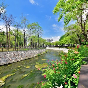 中市水利局「一所大學守護一條河」 「綠川興大段」打開校園與河岸界線