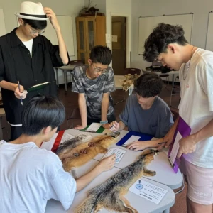 新北雙聯學制邁入第8年　接軌4國10夥伴拓展國際升學路