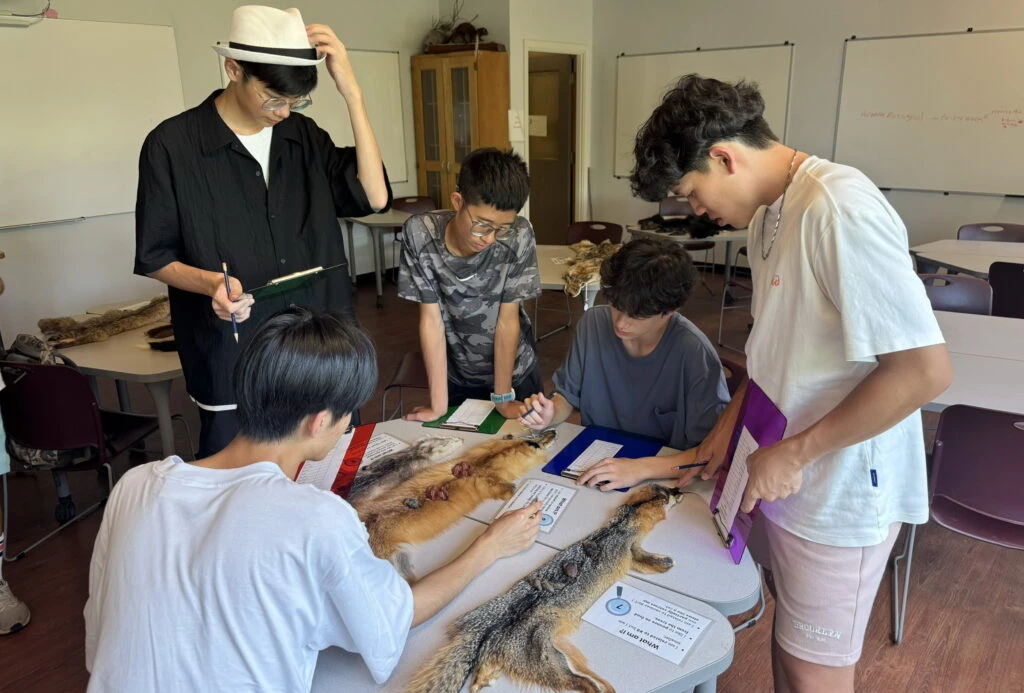 新北雙聯學制邁入第8年　接軌4國10夥伴拓展國際升學路