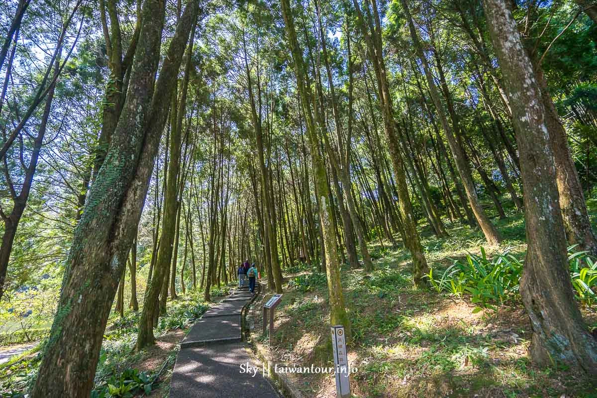 大溪【後慈湖秘境步道】怎麼去.門票.地圖.交通.餐廳 大溪【後慈湖秘境步道】怎麼去.門票.地圖.交通.餐廳