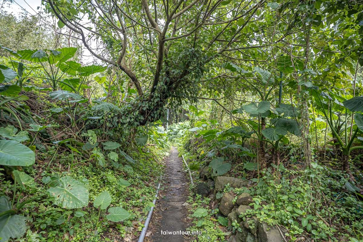 【半嶺水圳步道(紗帽山步道)】北投陽明山步道推薦 【半嶺水圳步道(紗帽山步道)】北投陽明山步道推薦
