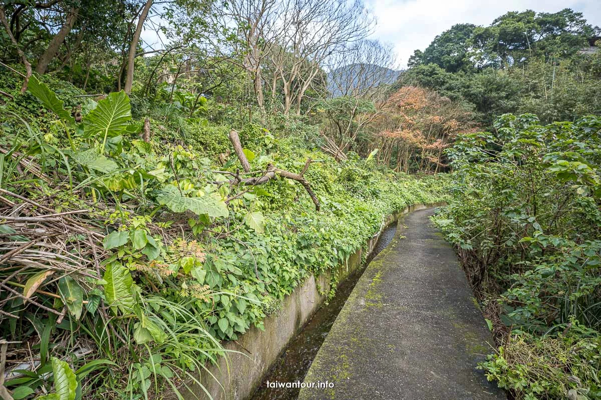 【半嶺水圳步道(紗帽山步道)】北投陽明山步道推薦