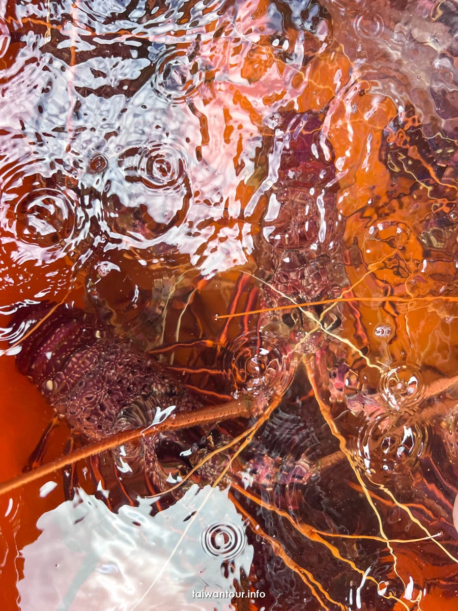 【卯澳海洋驛站】卯澳漁港海鮮餐廳推薦.龍蝦.鮑魚 【卯澳海洋驛站】卯澳漁港海鮮餐廳推薦.龍蝦.鮑魚