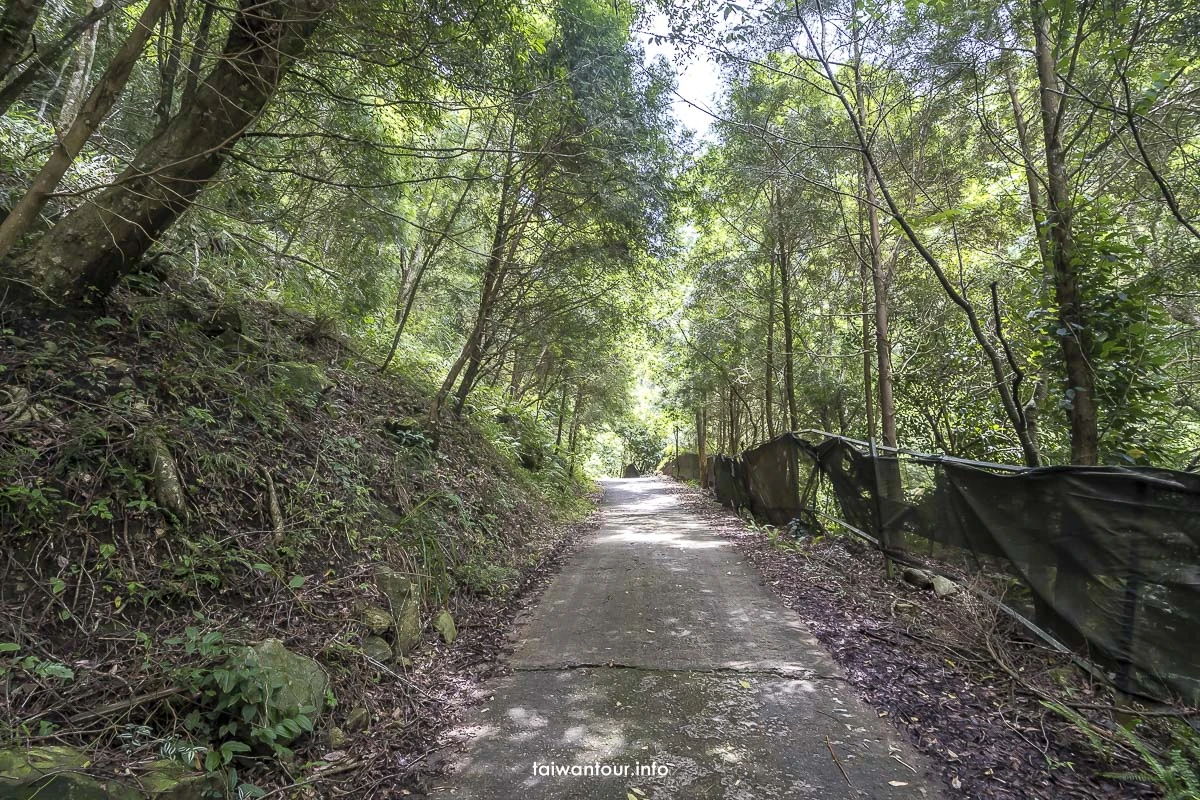 【冬瓜山步道.瀑布】苗栗泰安親子玩水秘境景點