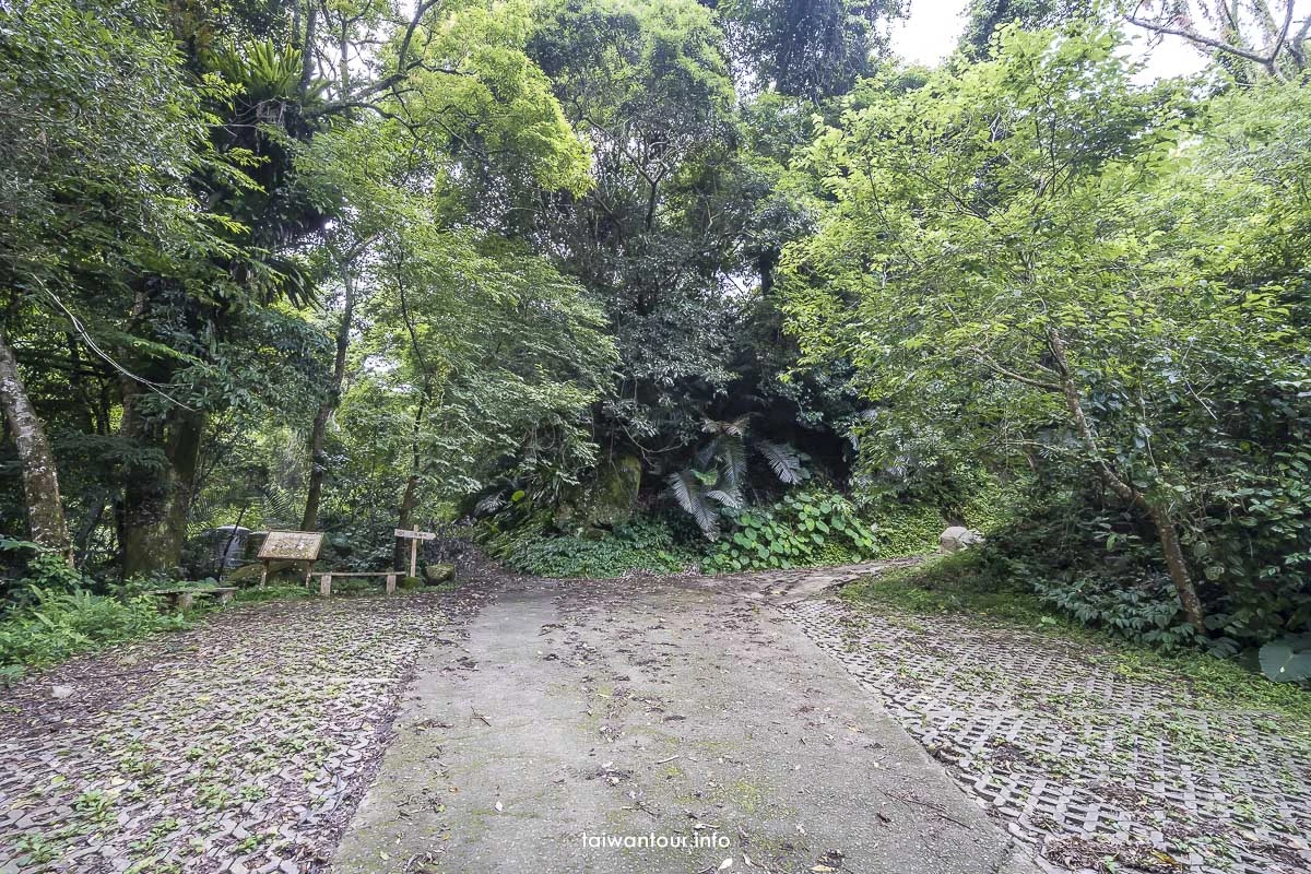 【冬瓜山步道.瀑布】苗栗泰安親子玩水秘境景點 【冬瓜山步道.瀑布】苗栗泰安親子玩水秘境景點