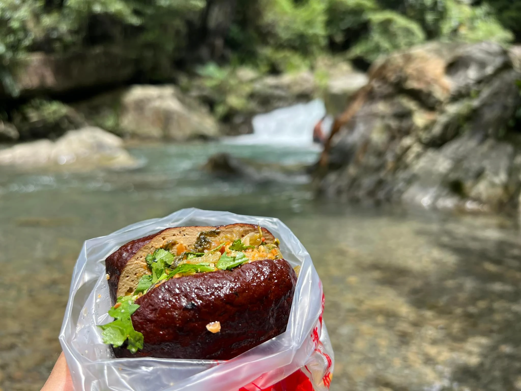 【冬瓜山步道.瀑布】苗栗泰安親子玩水秘境景點