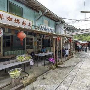 【奮起湖老街一日遊】阿里山美食.景點推薦