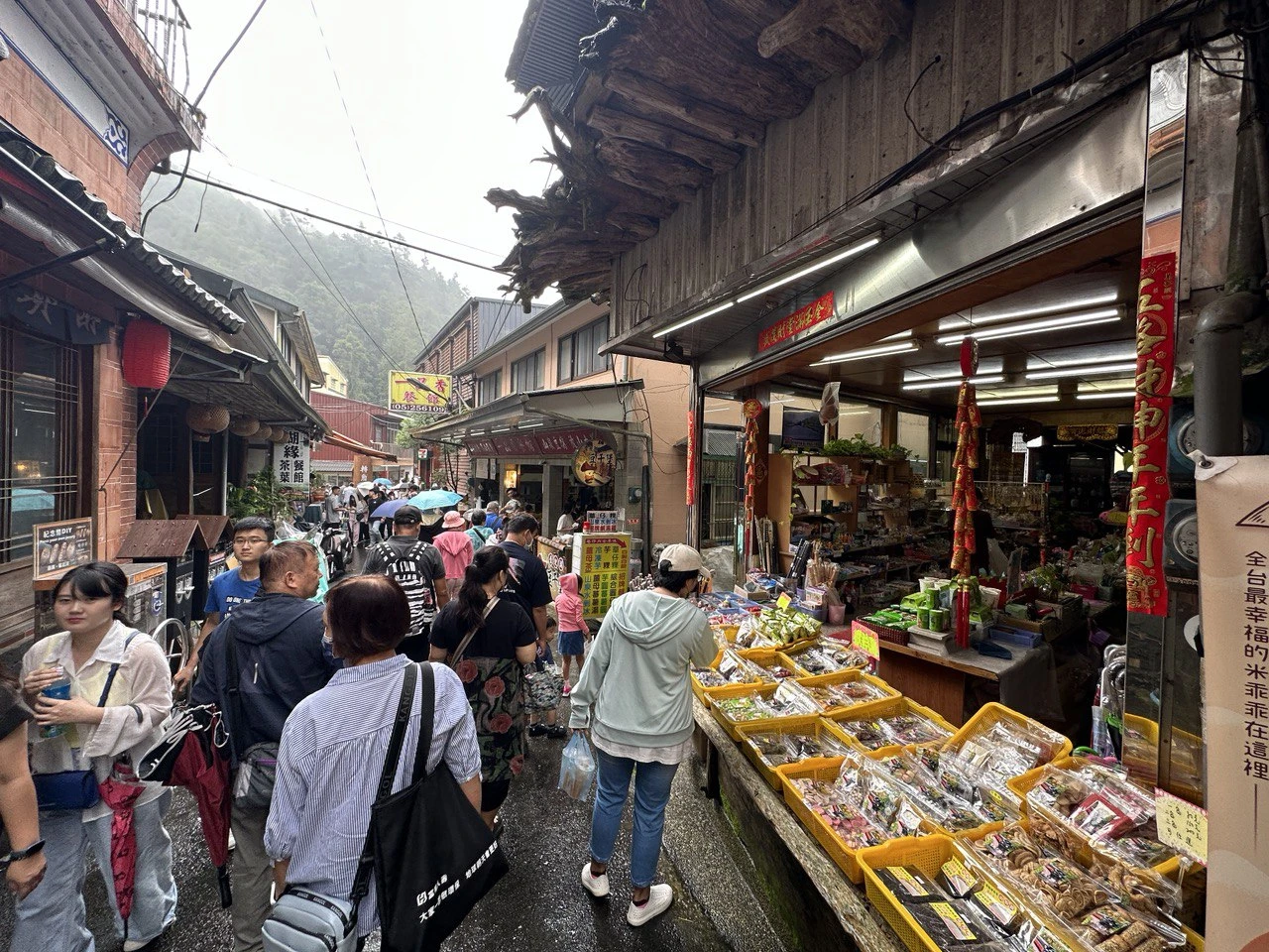 【奮起湖老街一日遊】阿里山美食.景點推薦 【奮起湖老街一日遊】阿里山美食.景點推薦