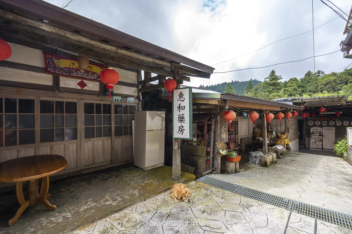 【奮起湖老街一日遊】阿里山美食.景點推薦 【奮起湖老街一日遊】阿里山美食.景點推薦