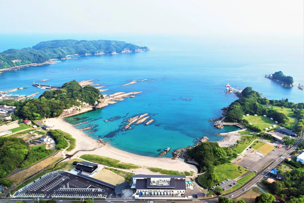 【2026日本高知市深度旅遊一日遊】自由行美食景點推薦 【2026日本高知市深度旅遊一日遊】自由行美食景點推薦