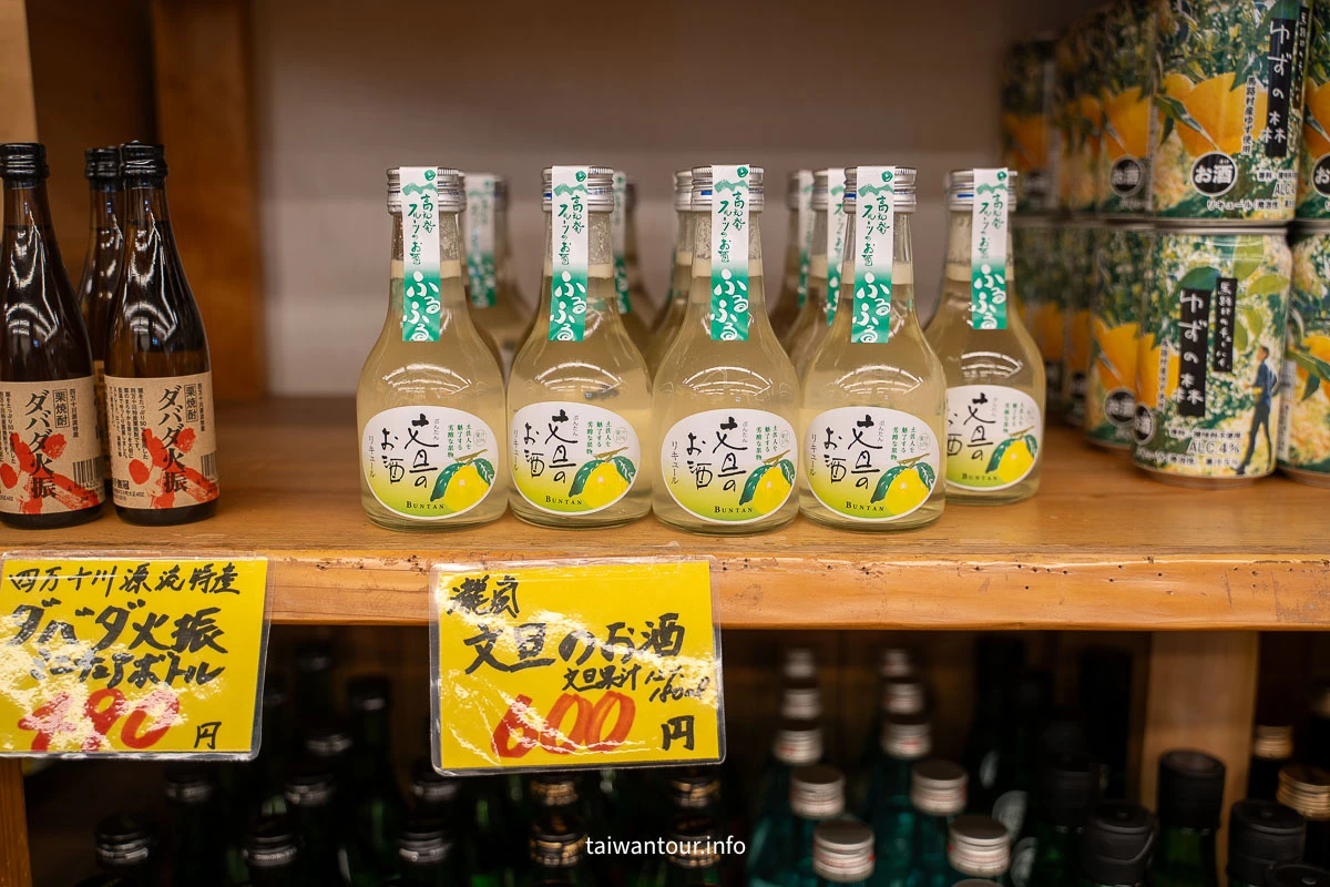 【2026日本高知市深度旅遊一日遊】自由行美食景點推薦 【2026日本高知市深度旅遊一日遊】自由行美食景點推薦