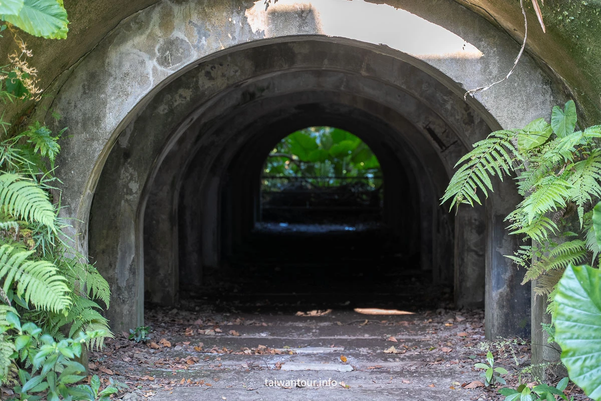 【富陽自然生態公園】台北森林系秘密基地完整指南 【富陽自然生態公園】台北森林系秘密基地完整指南