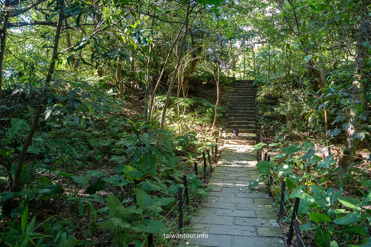 【富陽自然生態公園】台北森林系秘密基地完整指南 【富陽自然生態公園】台北森林系秘密基地完整指南