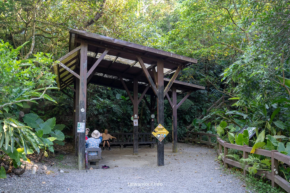 【富陽自然生態公園】台北森林系秘密基地完整指南 【富陽自然生態公園】台北森林系秘密基地完整指南