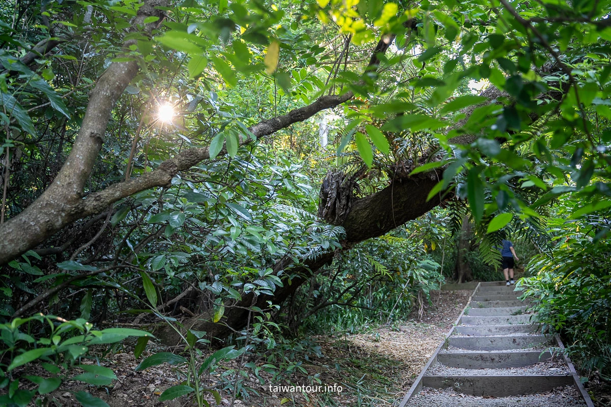 【富陽自然生態公園】台北森林系秘密基地完整指南 【富陽自然生態公園】台北森林系秘密基地完整指南
