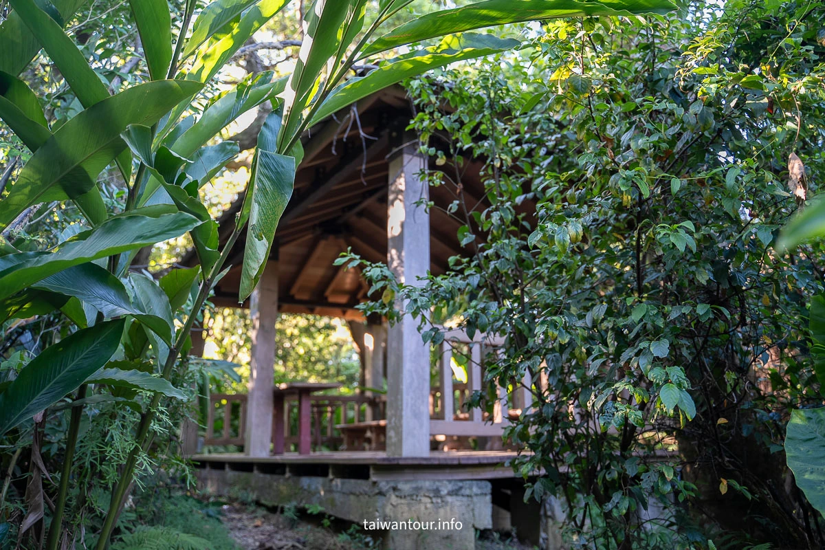 【富陽自然生態公園】台北森林系秘密基地完整指南
