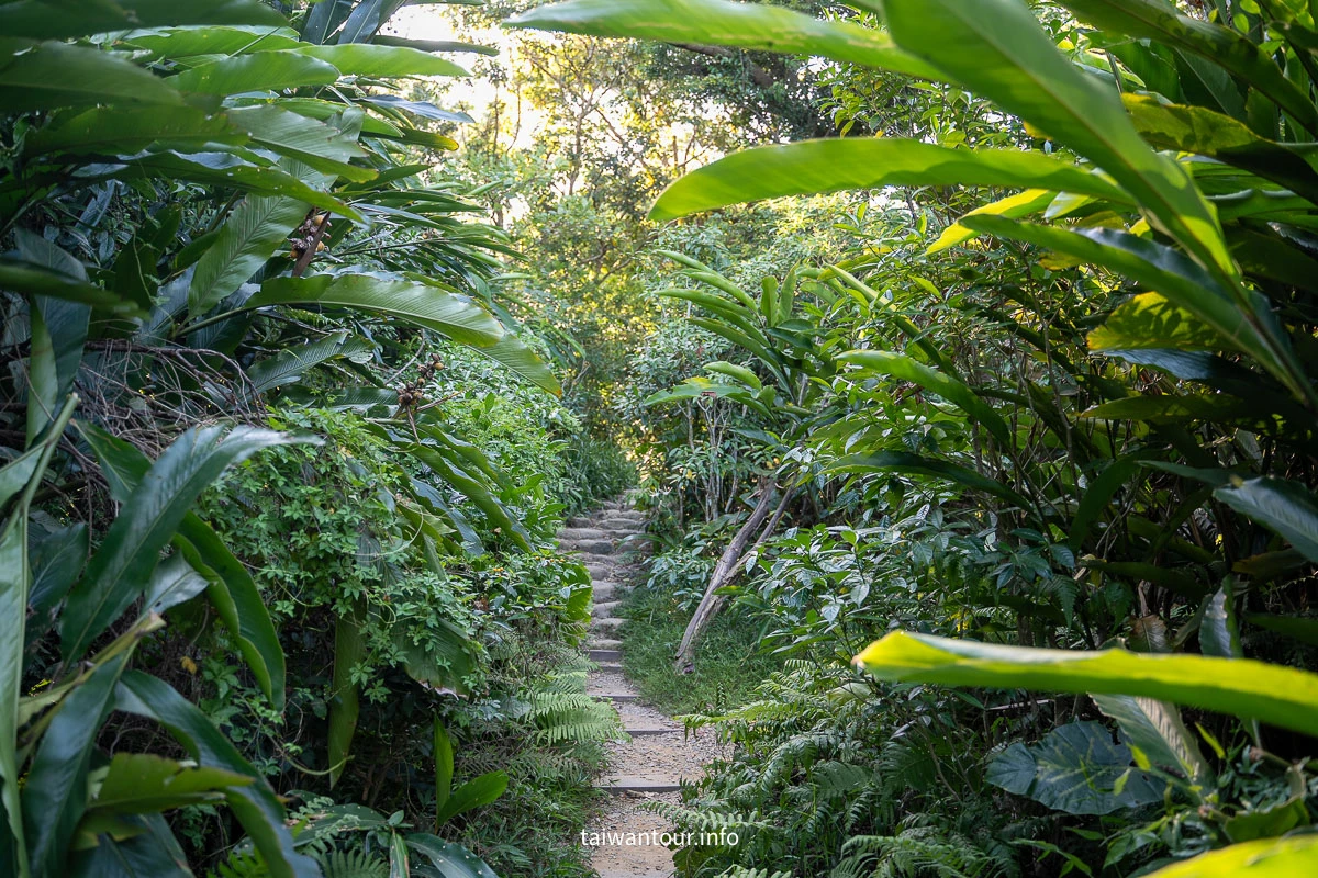 【富陽自然生態公園】台北森林系秘密基地完整指南 【富陽自然生態公園】台北森林系秘密基地完整指南