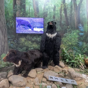 【雪霸國家公園管理處（汶水遊客中心）】免費親子景點！立體高山展示館與生態池攻略