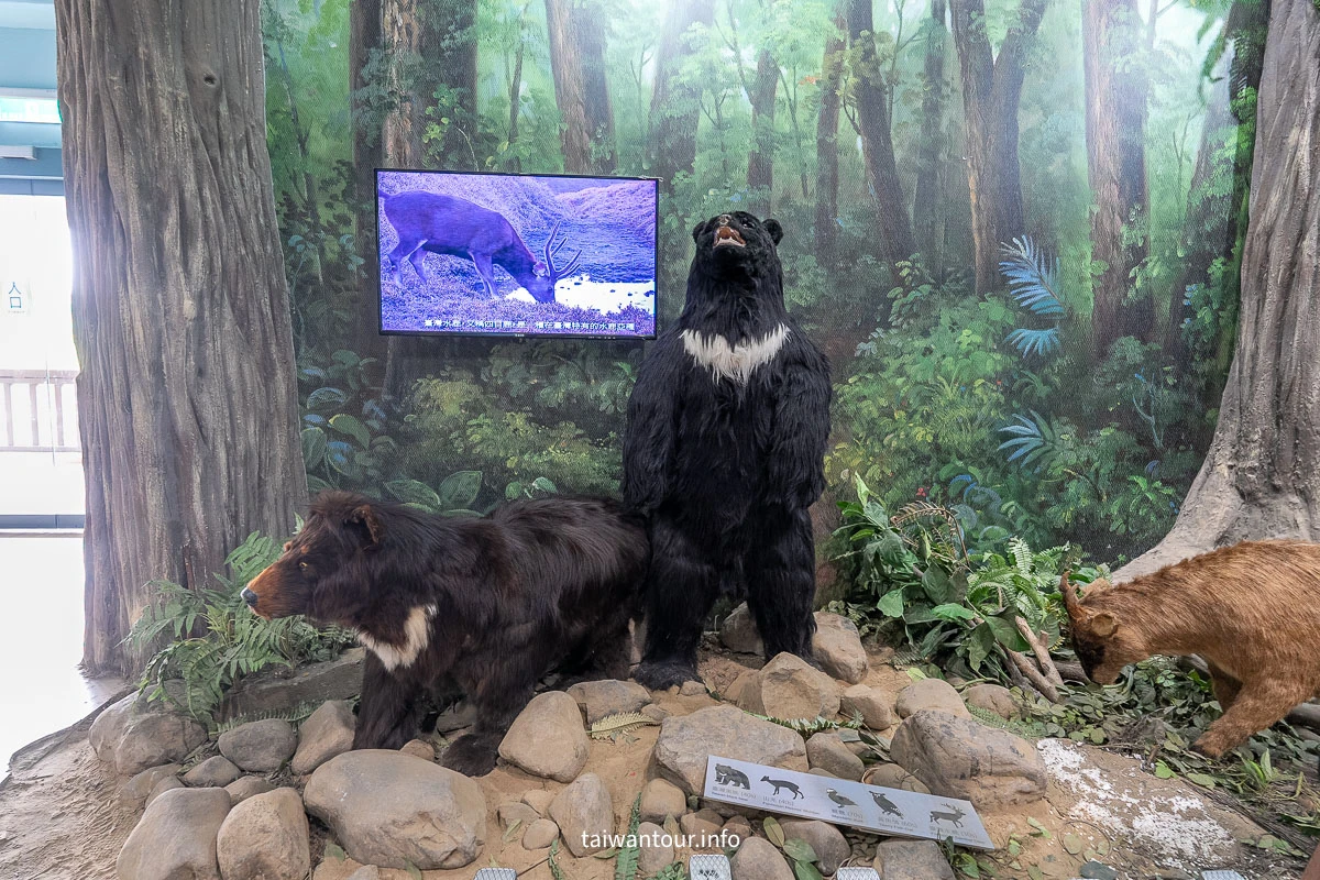【雪霸國家公園管理處（汶水遊客中心）】免費親子景點！立體高山展示館與生態池攻略