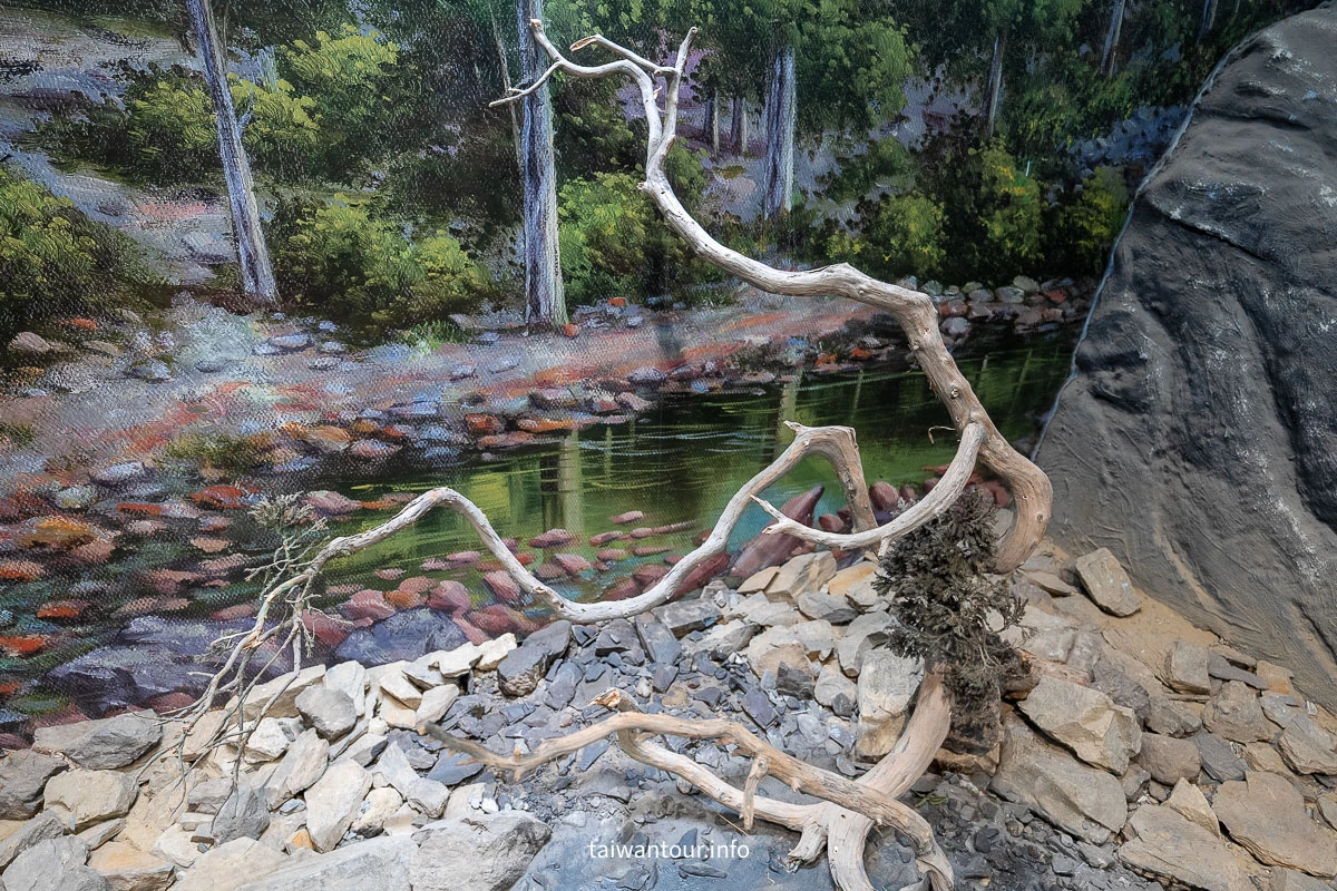 【雪霸國家公園管理處（汶水遊客中心）】免費親子景點！立體高山展示館與生態池攻略