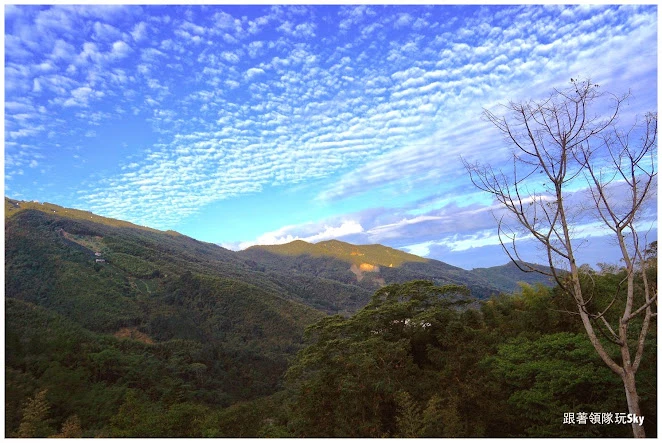 【金台灣山莊民宿】南投住宿推薦鹿谷鄉溪頭無敵山景 【金台灣山莊民宿】南投住宿推薦鹿谷鄉溪頭無敵山景